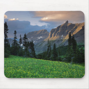 USA, Montana, Glacier National Park, Logan Pass Musmatta