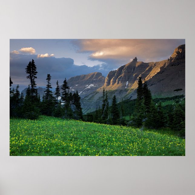 USA, Montana, Glacier National Park, Logan Pass Poster (Framsidan)