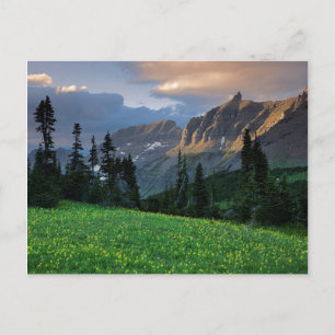 USA, Montana, Glacier National Park, Logan Pass Vykort