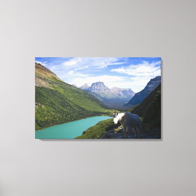 USA, Montana, Glacier National Park, Mountain Canvastryck (Framsida)
