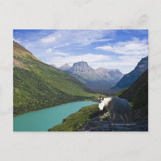 USA, Montana, Glacier National Park, Mountain Vykort