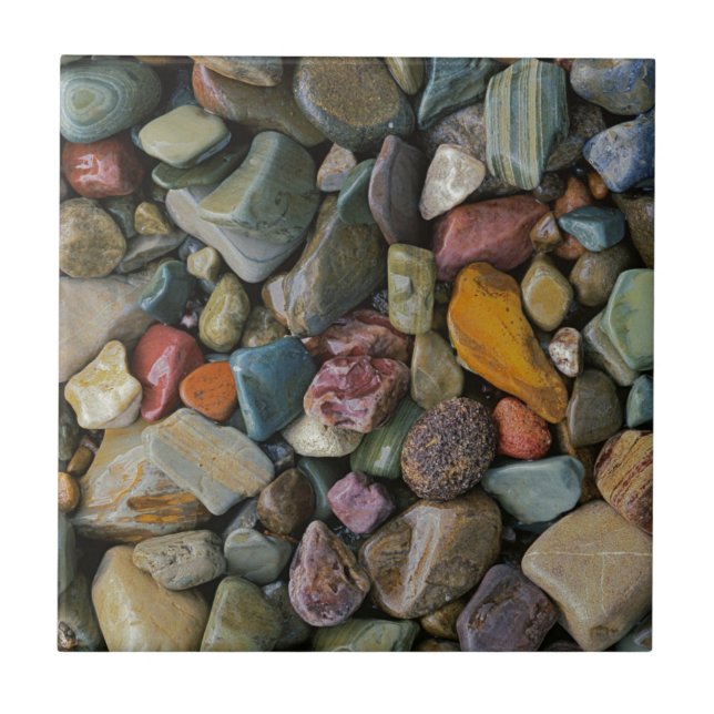 USA, Montana, Glacier National Park, Stones Kakelplatta (Framsidan)