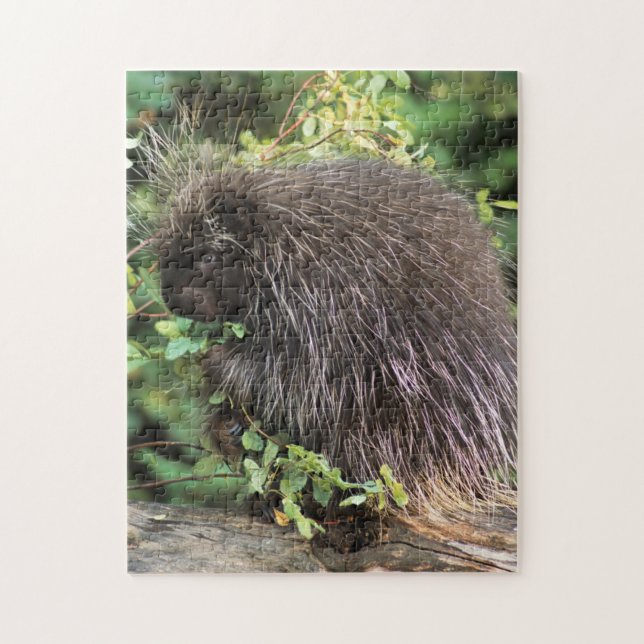 USA, Montana, Kalistavi. Porcupin och ro Pussel (Vertikal)