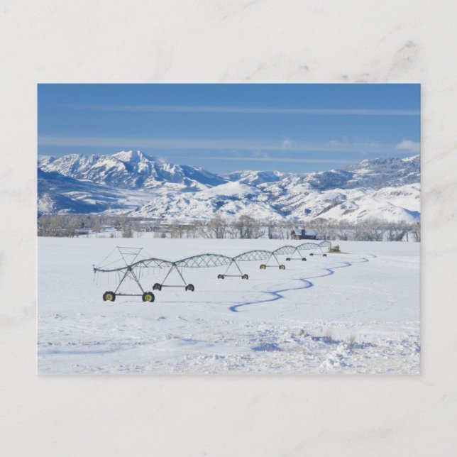 USA, MT, Farm nära Livingston Vykort (Framsida)