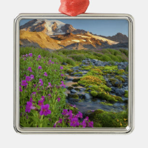 USA, Mt. Rainier National Park, Washington. Julgransprydnad Metall