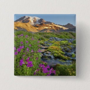 USA, Mt. Rainier National Park, Washington. Knapp