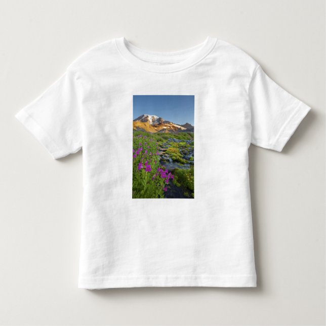 USA, Mt Rainier National Park, Washington. Tee (Framsida)