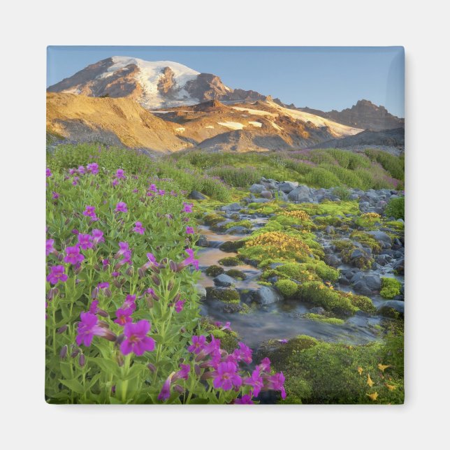 USA, Mt. Rainier nationalpark, Washington. Magnet (Framsidan)