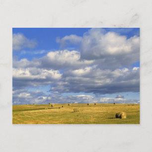 USA, Nebraska, Morrill County. Guldhö Vykort