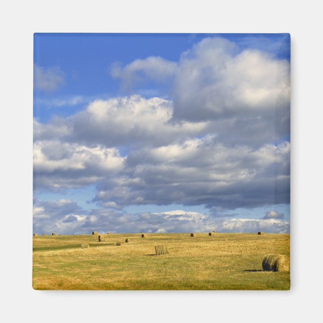 USA, Nebraska, Morrill County. Gult hö Magnet (Framsidan)