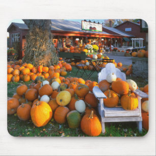 USA, New England, Maine, Wells. Höstutställning Musmatta