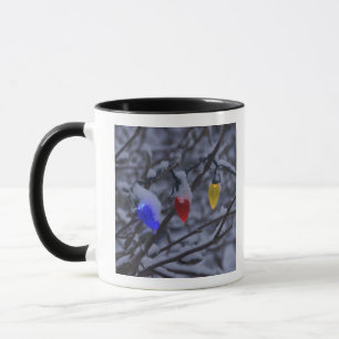 USA New England, Massachusetts, läsning, 2 Mugg