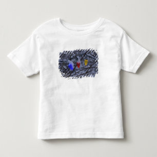 USA New England, Massachusetts, läsning, 2 T-shirt