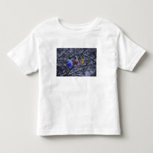 USA New England, Massachusetts, läsning, 2 Tee Shirt