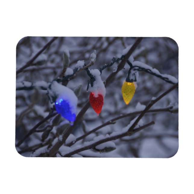 USA, New England, Massachusetts, Reading, 2 Magnet (Horisontell)