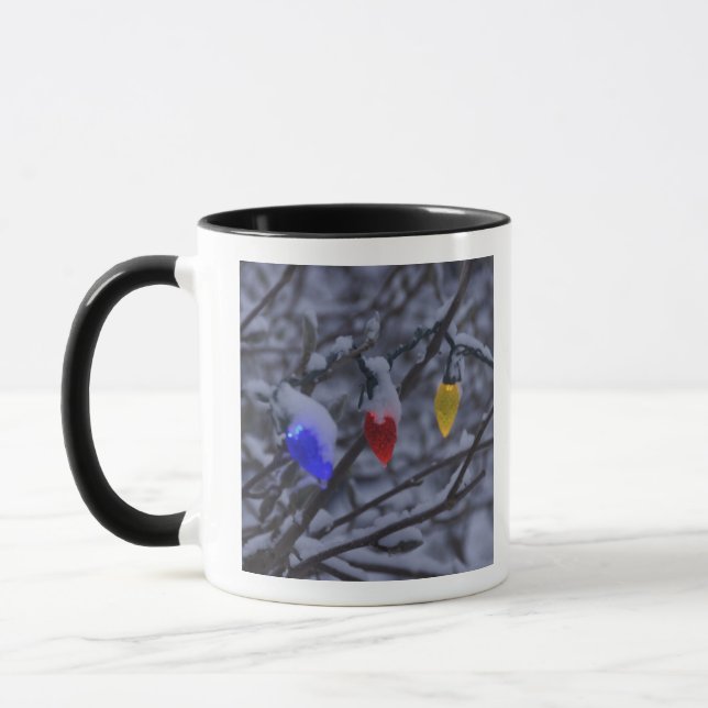 USA, New England, Massachusetts, Reading, 2 Mugg (Vänster)