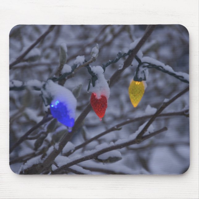 USA, New England, Massachusetts, Reading, 2 Musmatta (Framsidan)