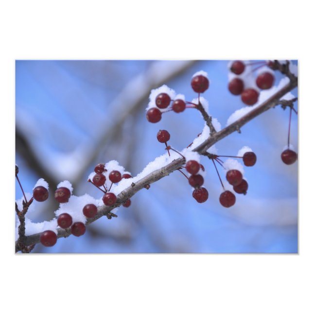 USA, New England, Massachusetts, Reading, 3 Fototryck (Framsidan)