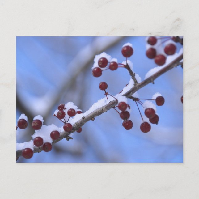 USA, New England, Massachusetts, Reading, 3 Vykort (Framsida)