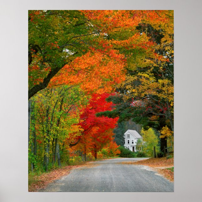 USA, New England, New Hampshire, Andover Poster (Framsidan)