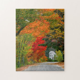 USA, New England, New Hampshire, Andover Pussel