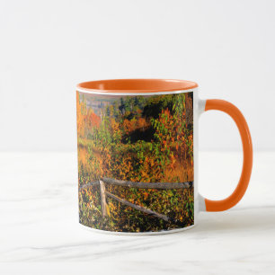 USA, New England, New Hampshire, Chocorua Mugg