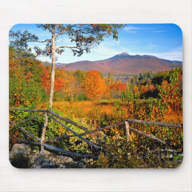 USA, New England, New Hampshire, Chocorua Musmatta (Framsidan)