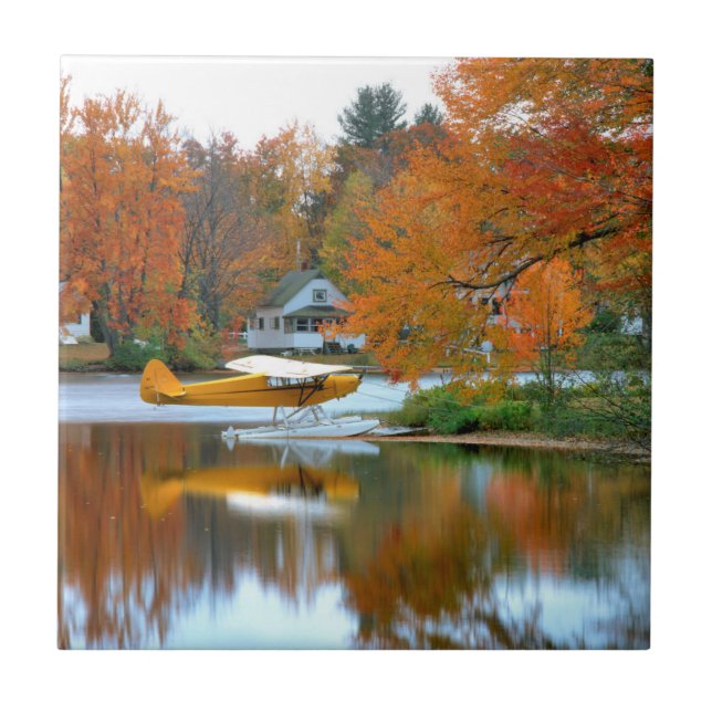 USA, New England, New Hampshire. Flyt Flygplan Kakelplatta (Framsidan)