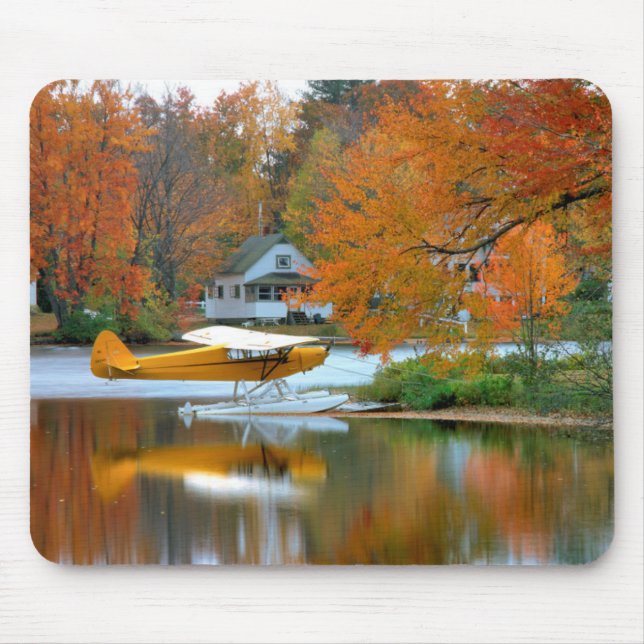 USA, New England, New Hampshire. Flyt Flygplan Musmatta (Framsidan)