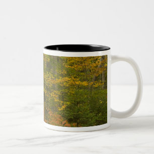 USA, New Hampshire, Livermore, Vita berget Två-Tonad Mugg