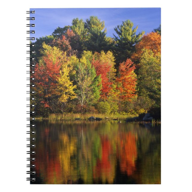 USA, New Hampshire, Moultonborough. Träd i Anteckningsbok (Framsidan)