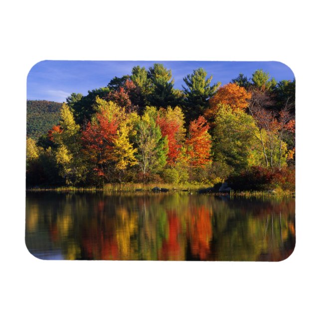 USA, New Hampshire, Moultonborough. TRÄD i Magnet (Horisontell)