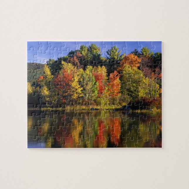 USA, New Hampshire, Moultonborough. Träd i Pussel (Horisontell)