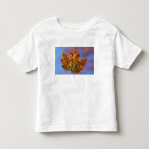 USA, New Hampshire, Vita bergen, Franconia T-shirt