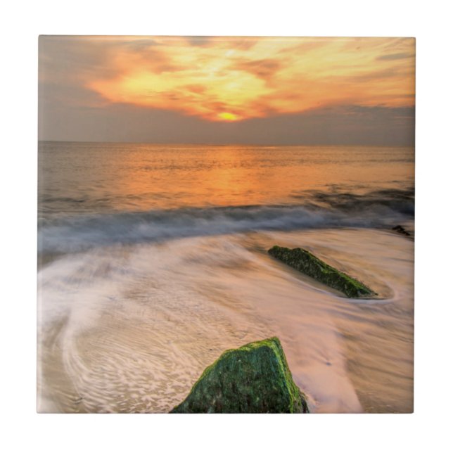 USA, New Jersey, Cape May. Scenic On Cape May 2 Kakelplatta (Framsidan)