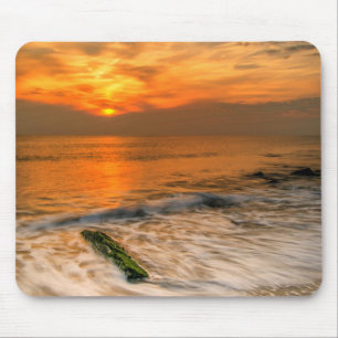USA, New Jersey, Cape May. Scenic On Cape May 4 Musmatta