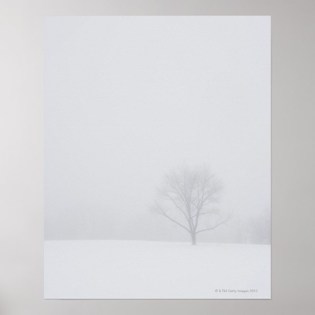 USA, New jersey, Lonely träd i vintertid Poster (Framsidan)
