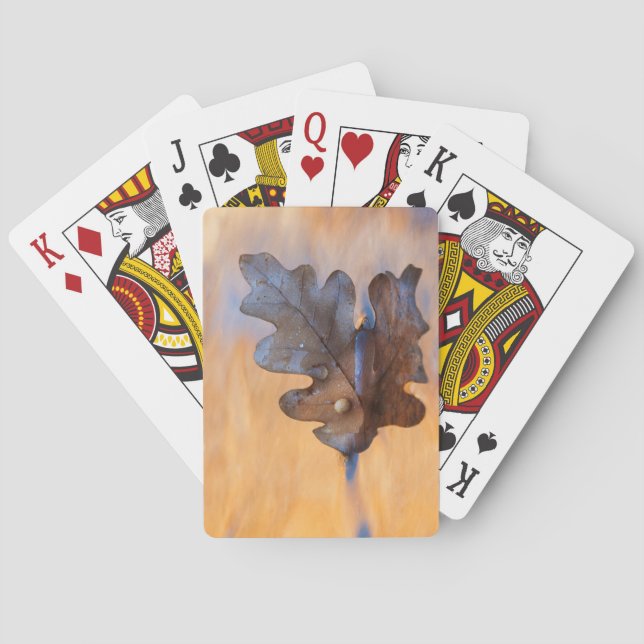 USA, New Mexico. Ekblad i bäck Spel Kort (Baksidan)
