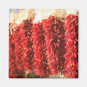 USA, New Mexico, Santa Fe: Downtown Santa Fe, 3 Magnet