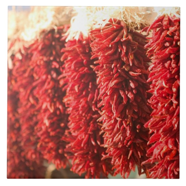 USA, New mexico, Santa Fe: Tomt Fe, 3 Kakelplatta (Framsidan)