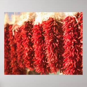 USA, New mexico, Santa Fe: Tomt Fe, 3 Poster