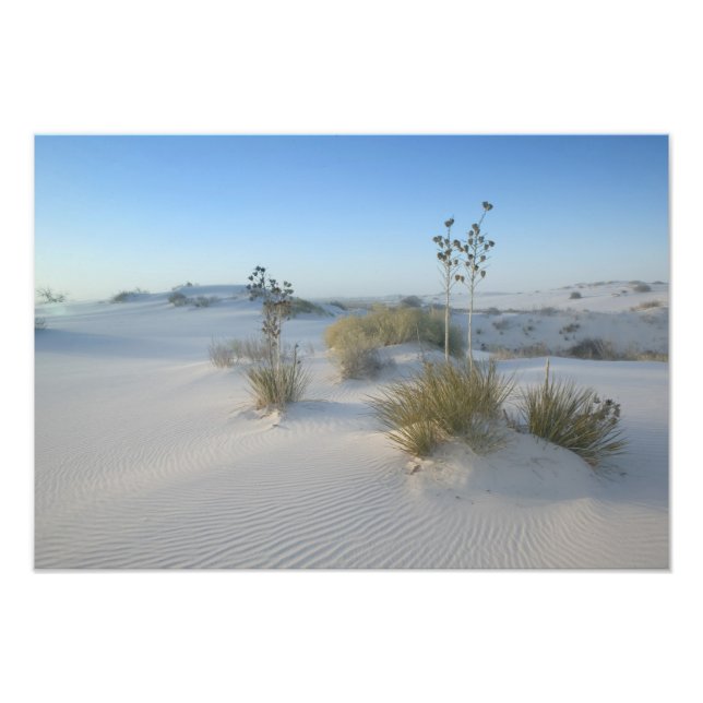 USA, New mexico, White Sands National 2 Fototryck (Framsidan)