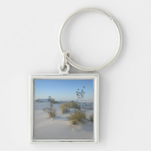 USA, New Mexico, White Sands National 2 Fyrkantig Silverfärgad Nyckelring