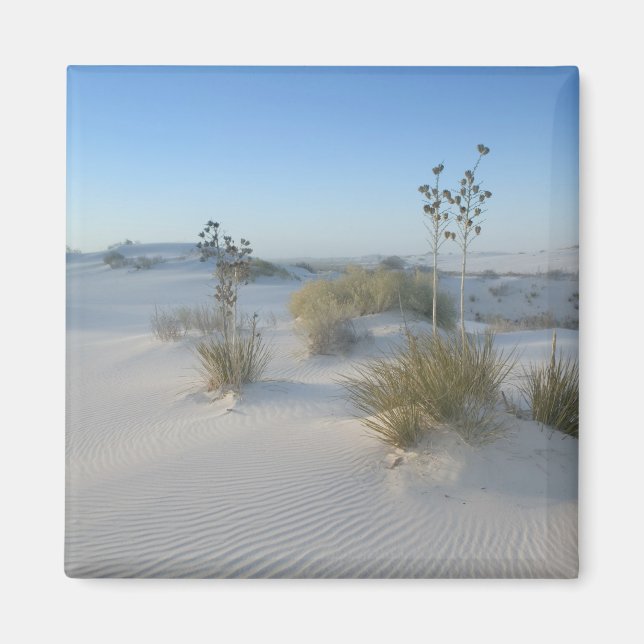 USA, New mexico, White Sands National 2 Magnet (Framsidan)