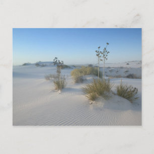 USA, New Mexico, White Sands National 2 Vykort