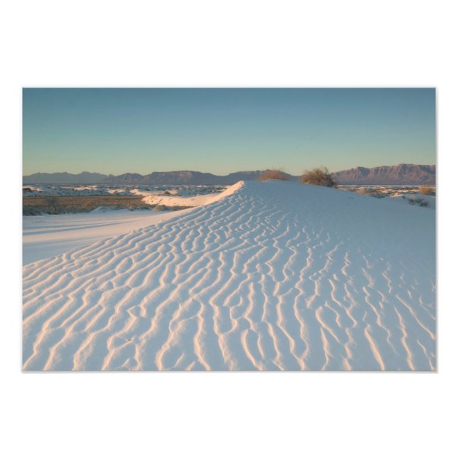 USA, New mexico, White Sands National Fototryck (Framsidan)