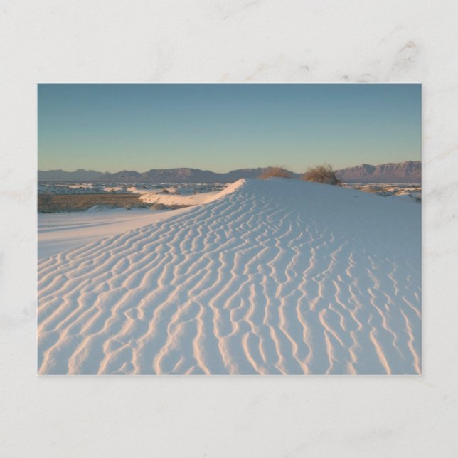 USA, New mexico, White Sands National Vykort (Framsida)