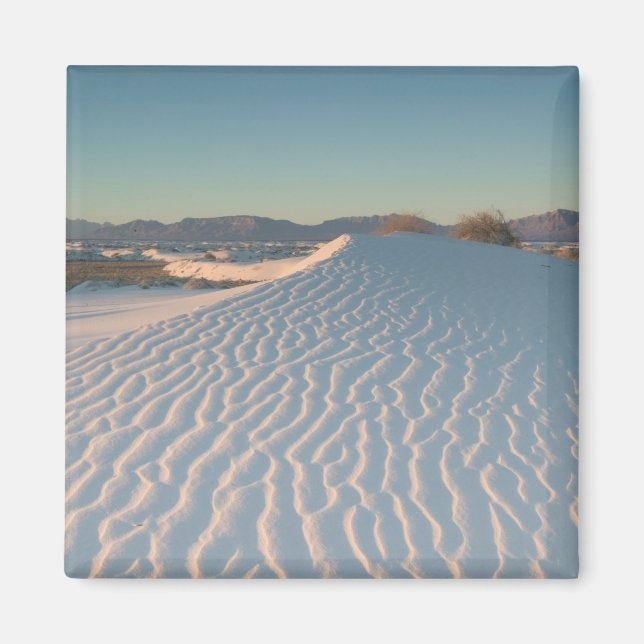 USA, New Mexico, White Sands nationalpark Magnet (Framsidan)