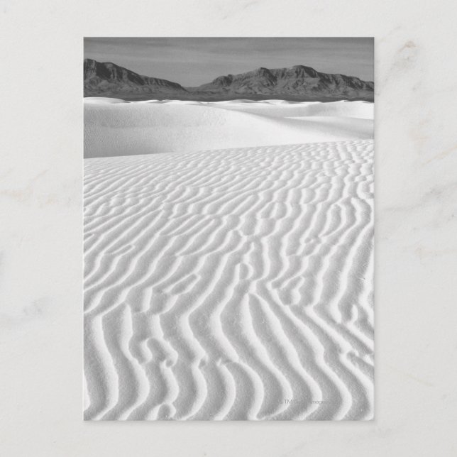 USA, New mexico, White Sands Vykort (Framsida)