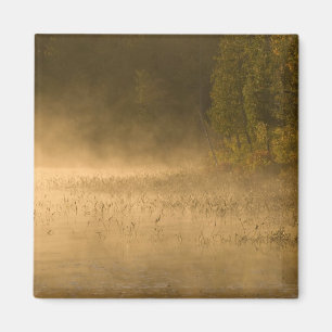 USA, New York, Adirondack Park. Morgondimma på Magnet